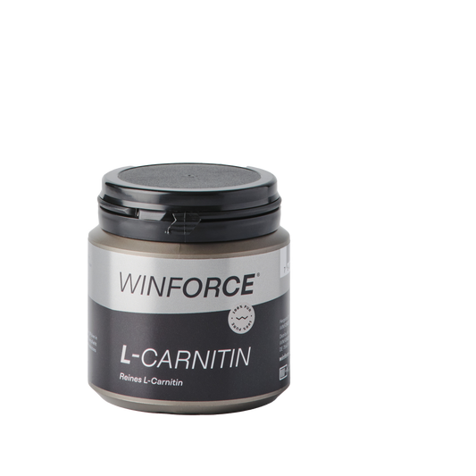 Winforce L-Carnitine, puszka 100g